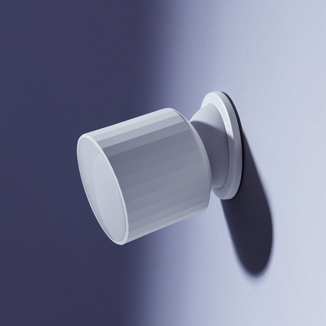 Qingping Human Body Sensor Pet - Smart Home Xiaomi App recensie en prijs