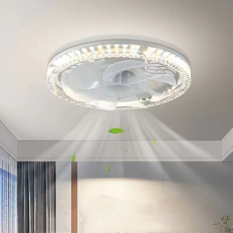 50W 30cm New Ceiling Fan Light - Smart Ceiling Fan recensie en prijs