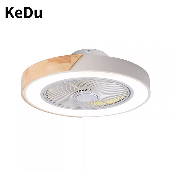 Bedroom ceiling fan light, int - Smart Ceiling Fan recensie en prijs
