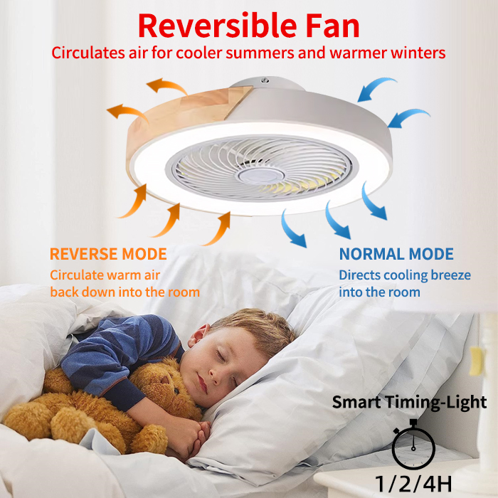Bedroom ceiling fan light, int - Smart Ceiling Fan recensie en prijs