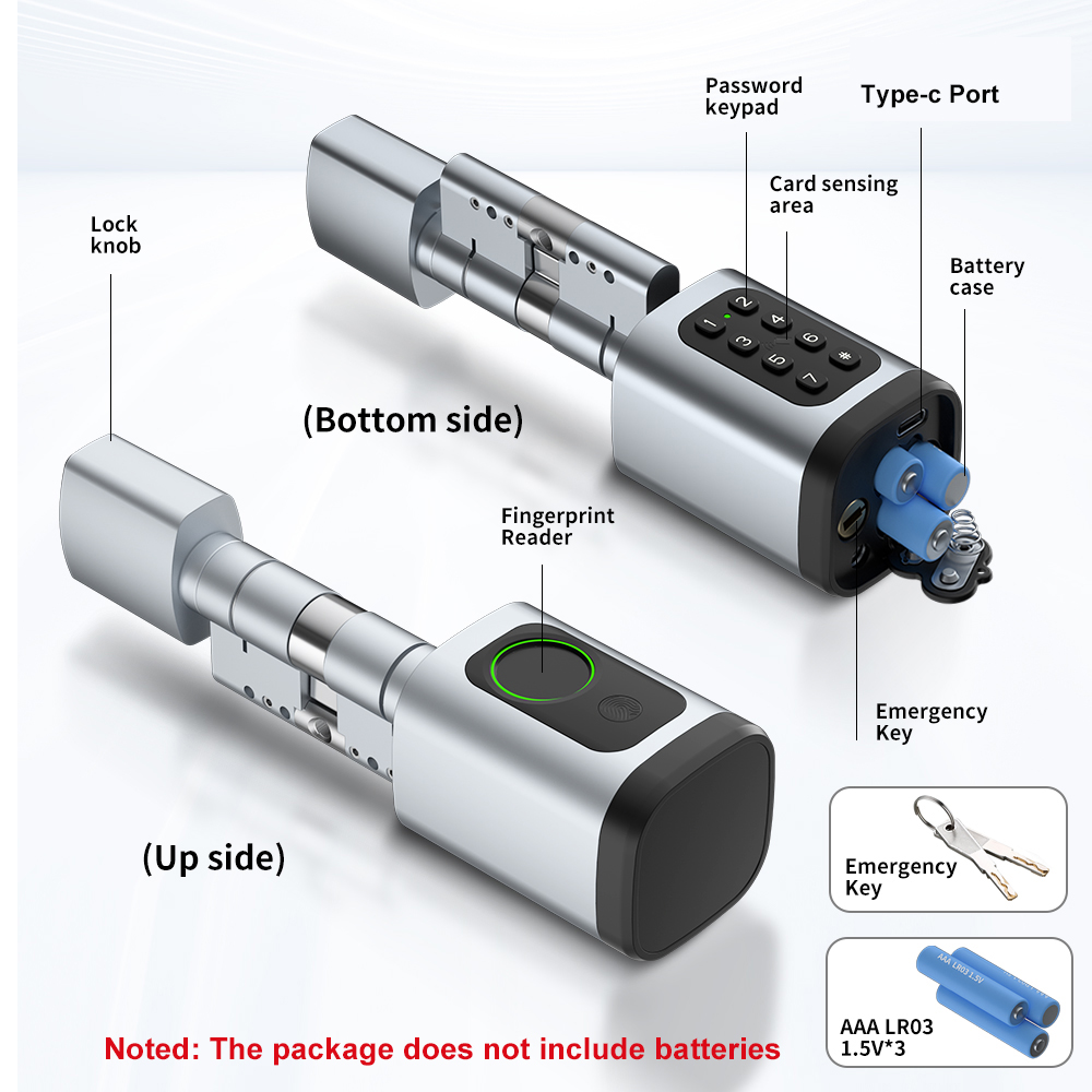 RAYKUBE V1 Tuya BLE TT Lock Sm - Smart Home Technology recensie en prijs
