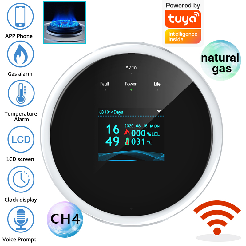 2.4G WiFi Gas Alarm Sensor Com - Smart Home Security System recensie en prijs